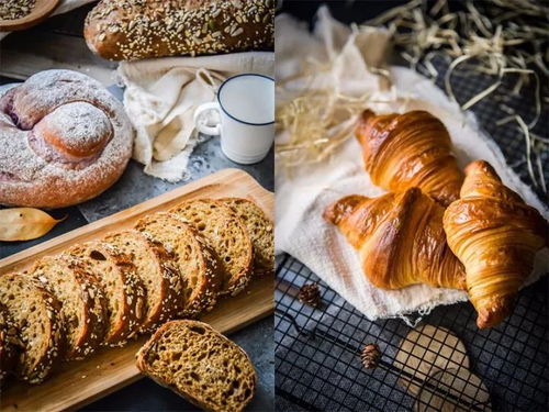 有空做頭發(fā),不如做烘焙,政府全額補(bǔ)貼