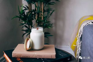 人吃的美食，狗狗能食用嗎？警惕這些甜蜜陷阱——詳解狗狗不能吃的甜味烘焙產(chǎn)品